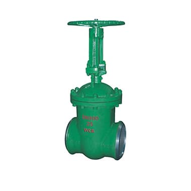 The power station Vacuum gate valve